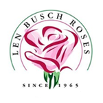 Len Busch Roses