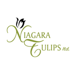 Niagara Tulips Ltd.